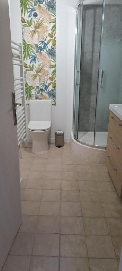De L'akwaba Apartment Buzet-sur-Baise